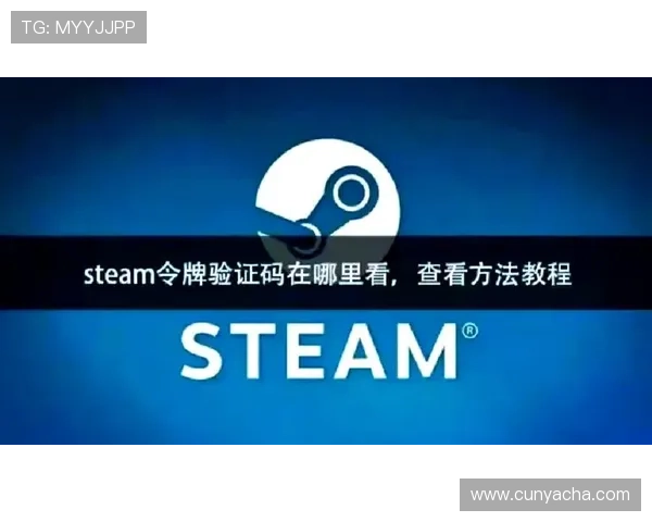 亚星登录遇到验证码问题怎么办，解决方案让你顺利完成登录