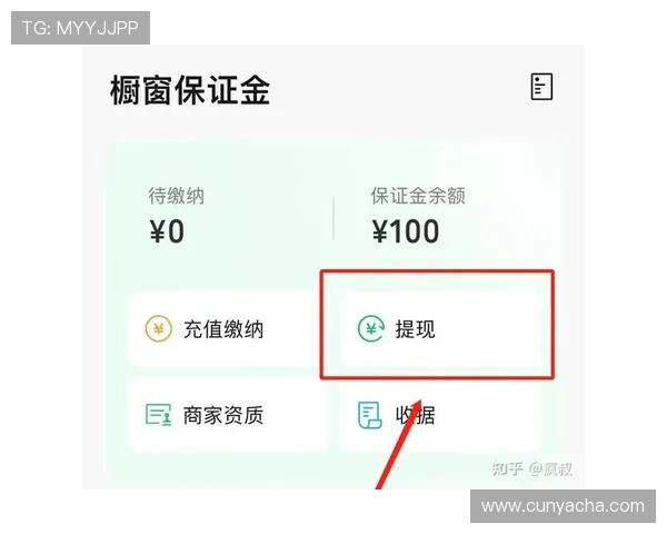 亚星网络百家家乐：便捷的充值提现流程，保障玩家资金安全与快速周转