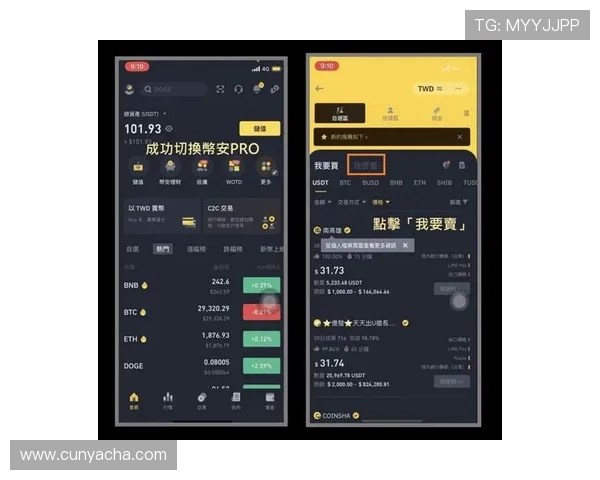 亚星333游戏大厅充值与提现流程详解，确保资金安全与快速到账的操作指南